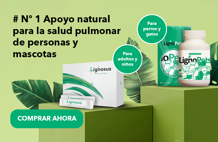 banner-product-presentation